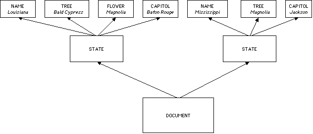 States Tree